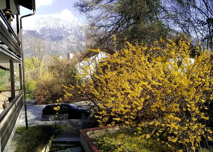 Apartament Thumseestrasse 18